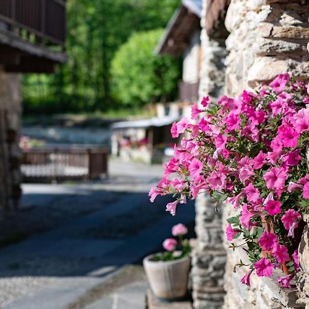Il Sogno Della Vita Agriresort - Country Rooms & Suites Peveragno Luaran gambar