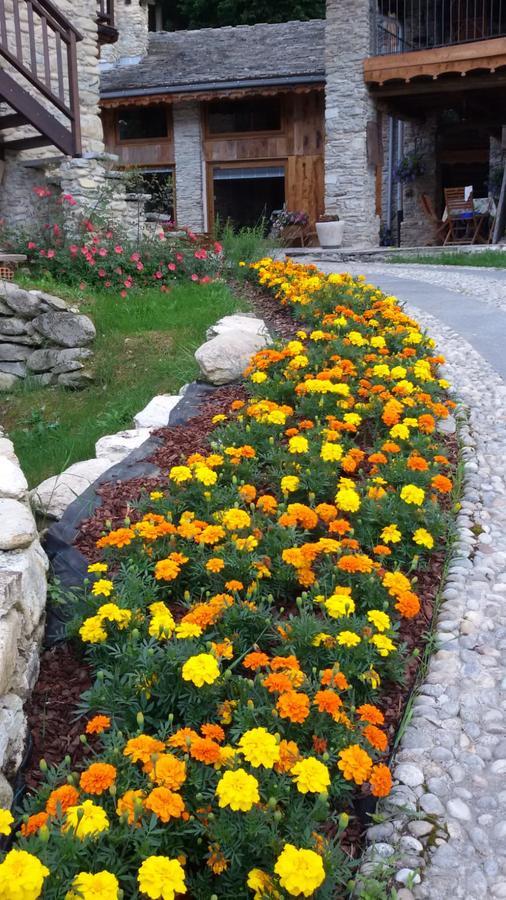 Il Sogno Della Vita Agriresort - Country Rooms & Suites Peveragno Luaran gambar